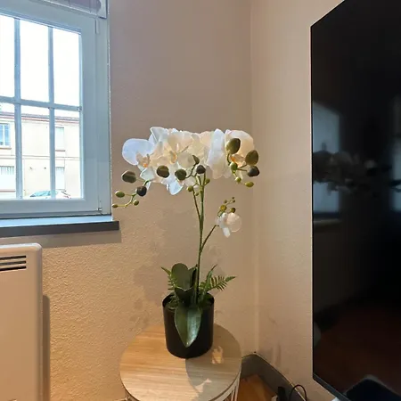 Le Cocon Avec Balneo 아파트 *