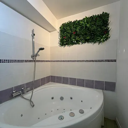 Le Cocon Avec Balnéo Apartamento Roanne