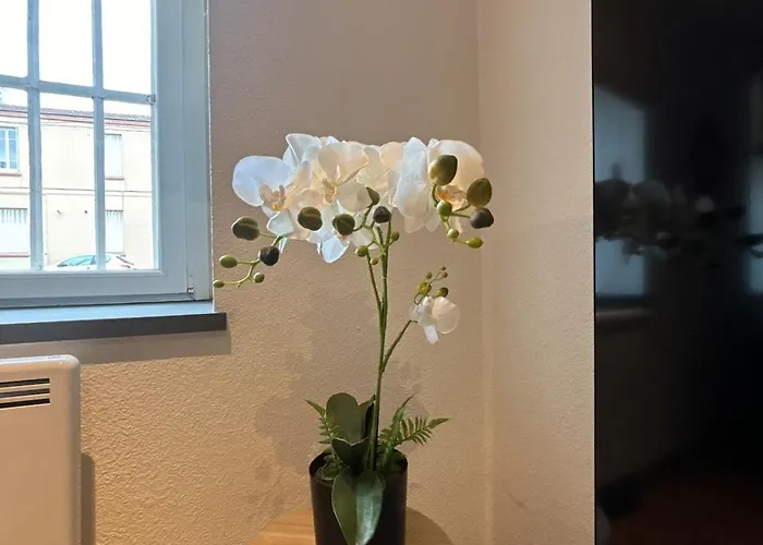 Le Cocon Avec Balnéo Appartement *