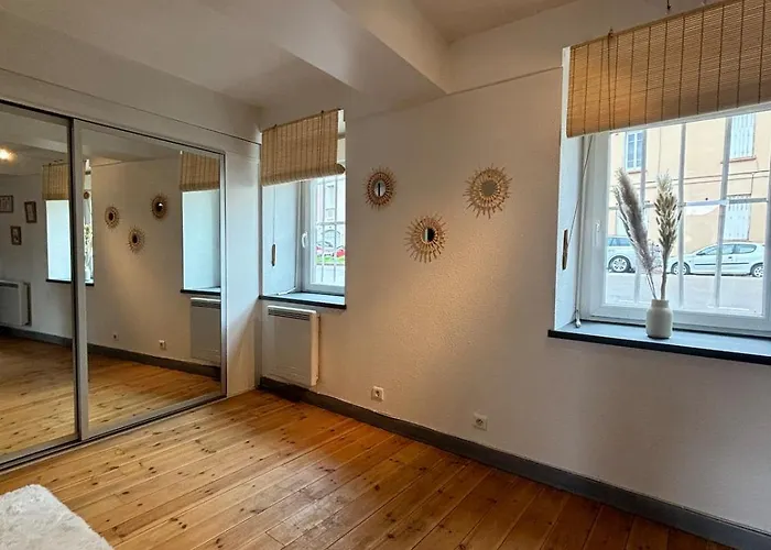 Appartement Le Cocon Avec Balnéo Roanne