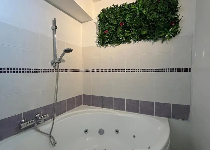 Le Cocon Avec Balnéo Appartement Roanne